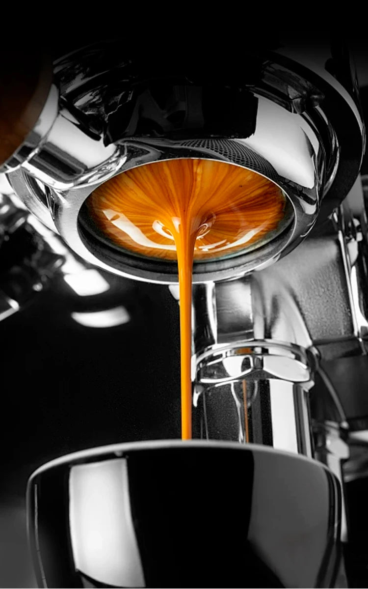 58MM Coffee Bottomless Portafilter For GAGGIA Classic Pro